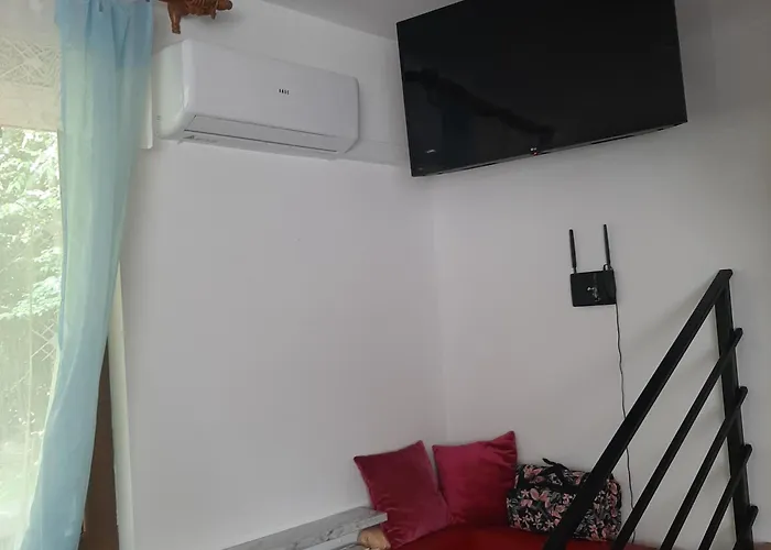 Roztocze 3 Kroki Od Sosny