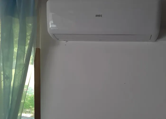 Roztocze 3 Kroki Od Sosny