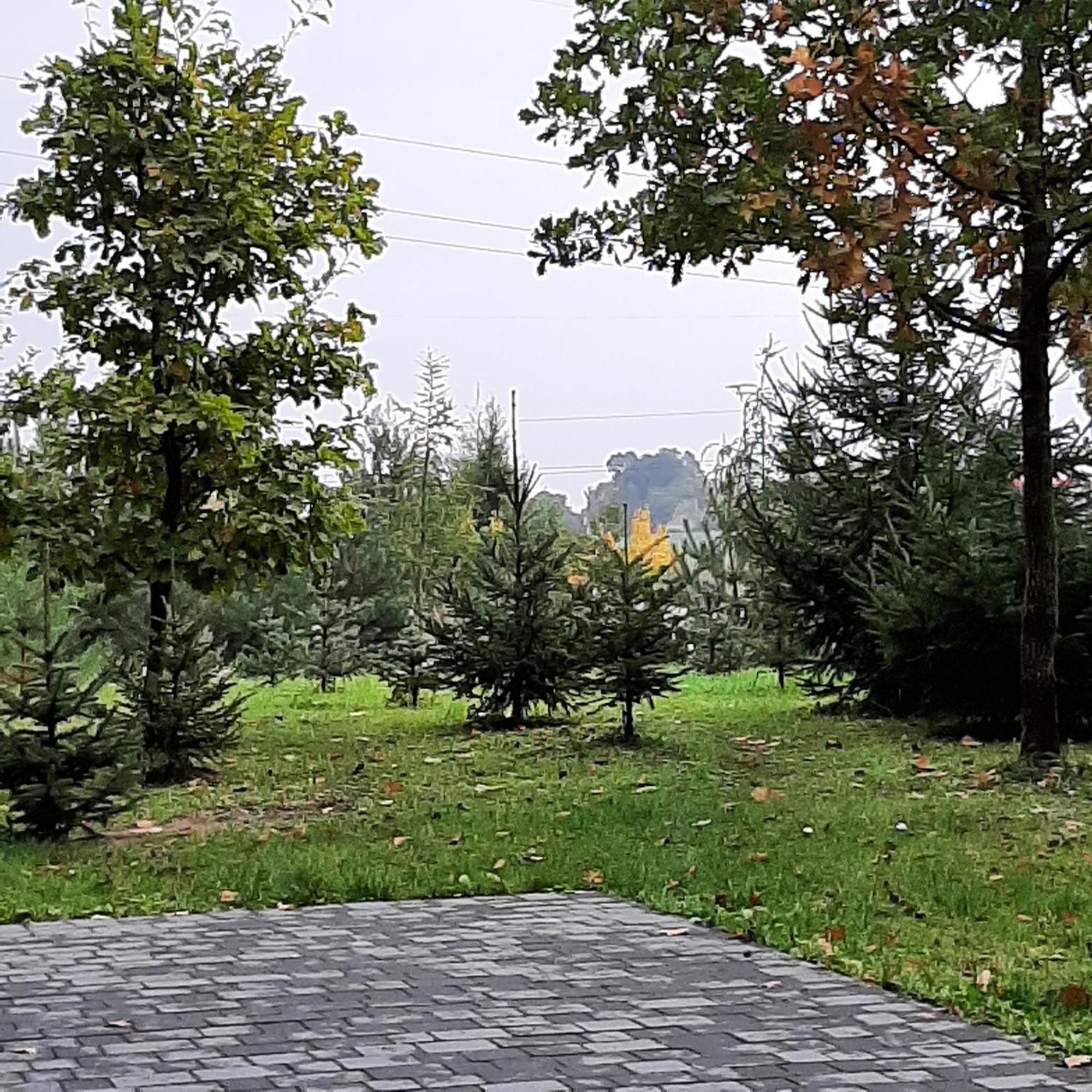 Chaleter Roztocze 3 Kroki Od Sosny Zamość